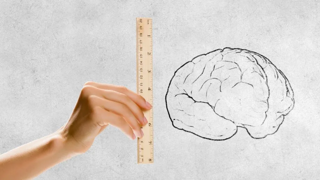 Close up of human hand measuring human brain with ruler.