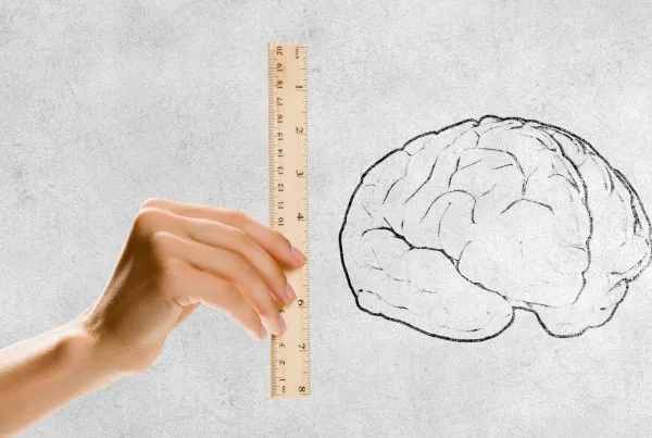 Close up of human hand measuring human brain with ruler.