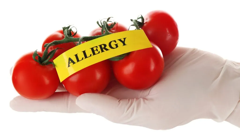 Allergic food concept. Hand in glove holding tomatoes isolated on white