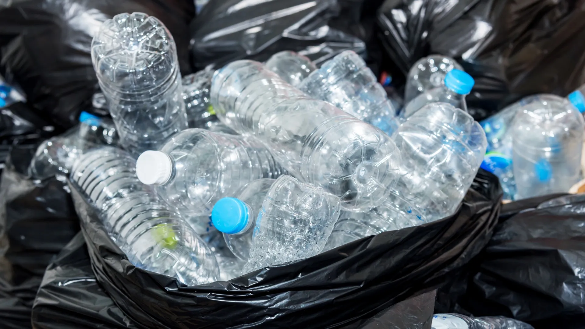Hidden Sources of Plastic (and Why You Should Care)