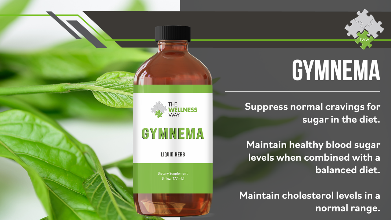 A bottle of The Wellness Way's liquid herbal supplement, Gymnema next to a list of benefits on the right and a green vine on the left
