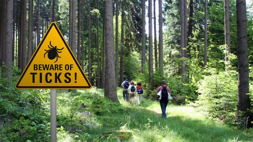 sign beware of ticks and kids hiking