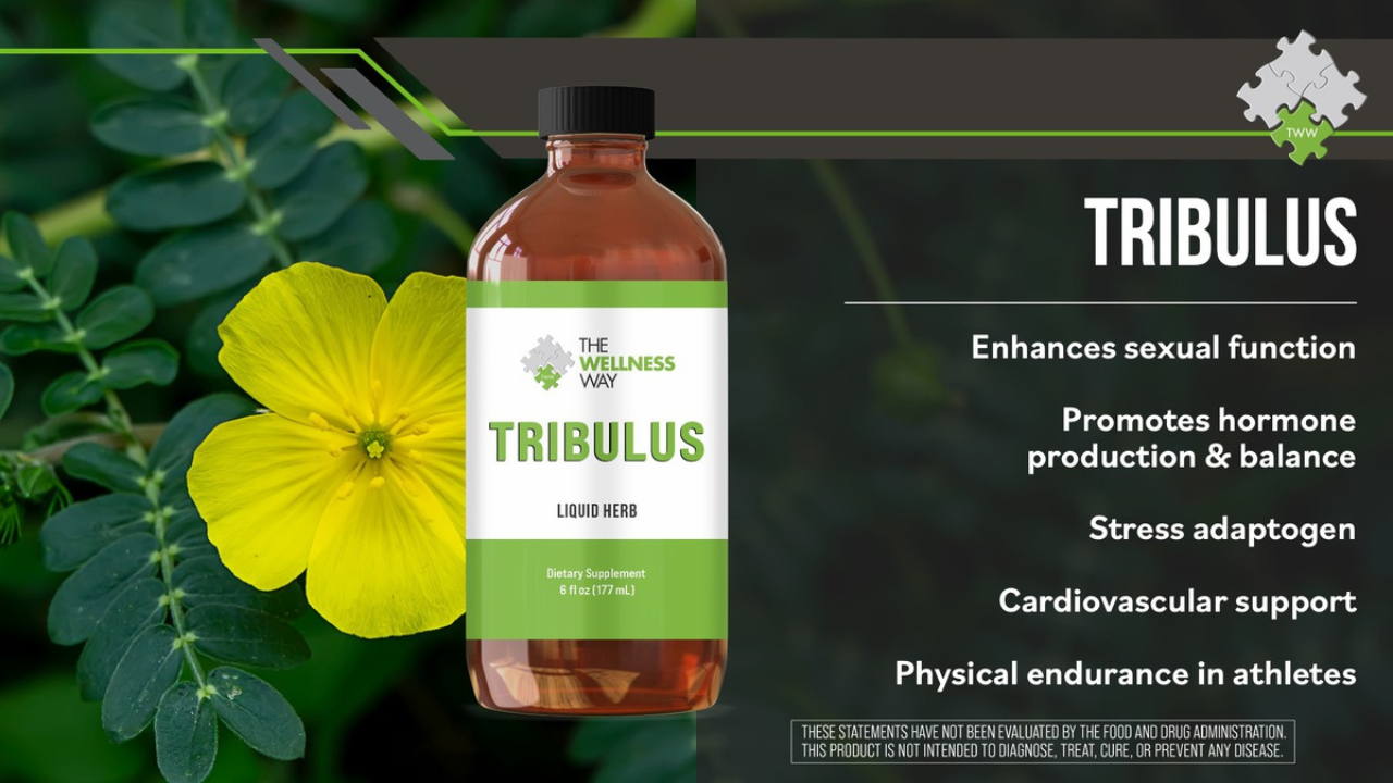 A bottle of Wellness Way tribulus herbal supplements