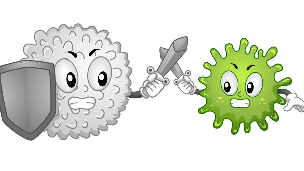 Cartoon immune cell fighting a pathogen respuesta inmunológica