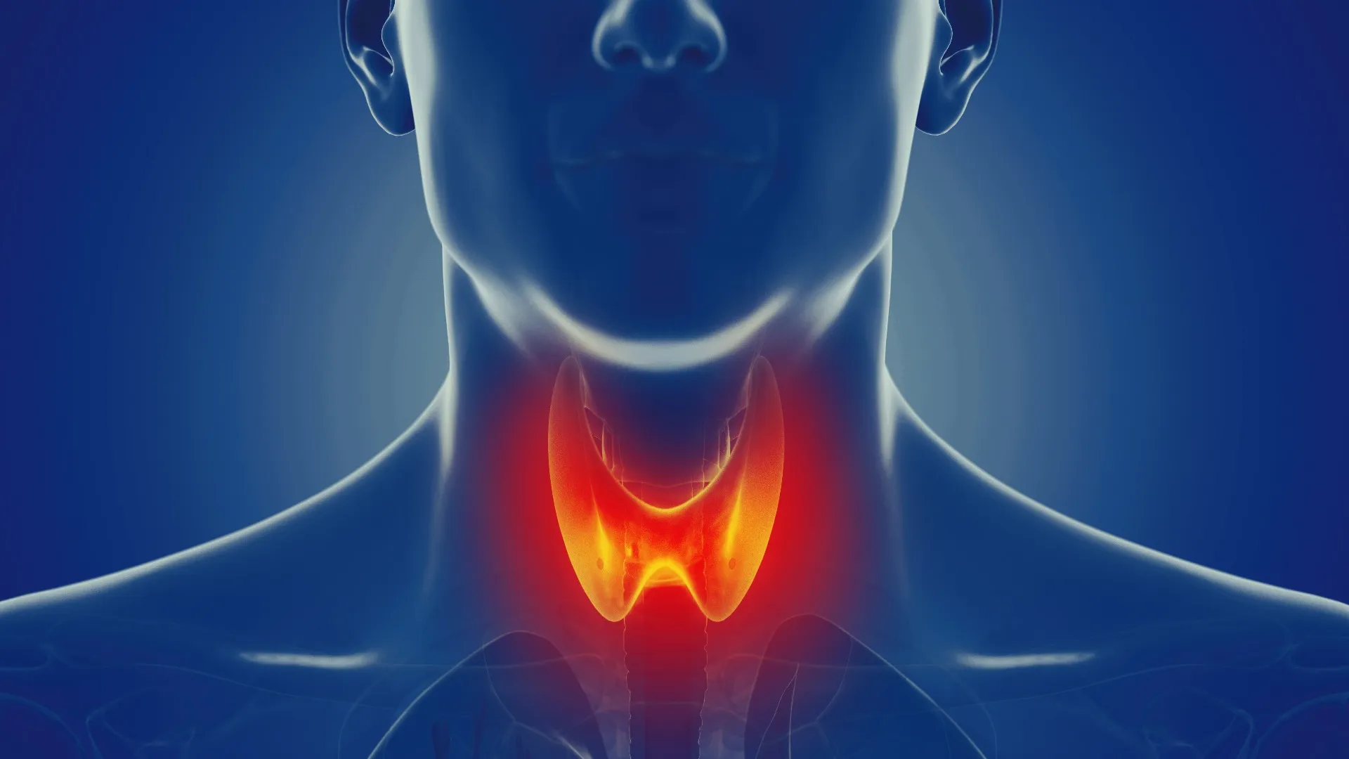 Hashimoto’s Thyroiditis: The Destructive Thyroid Disease That Slows You Down